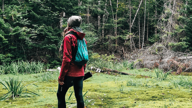 Les Défis des 5 sens